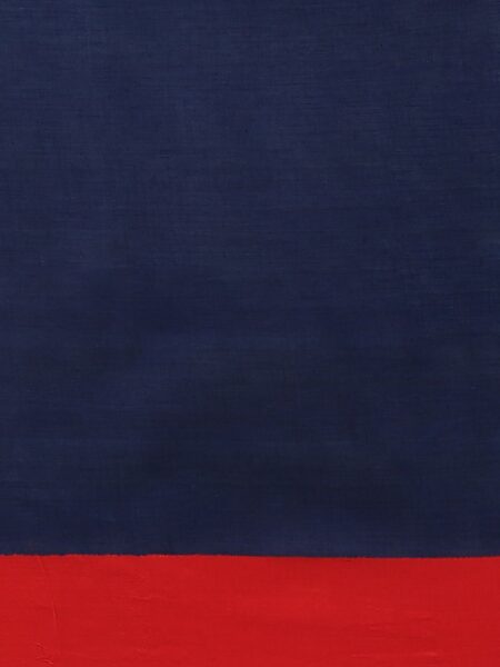Cotton-Silk Cutshuttle Saree in Indigo and Red - Image 3