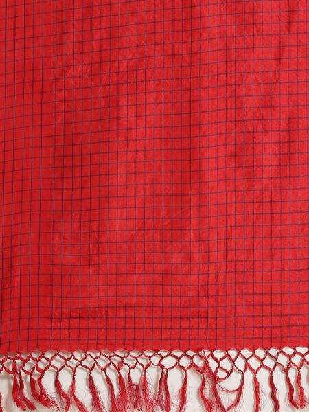 Cotton-Silk Cutshuttle Saree in Indigo and Red - Image 3