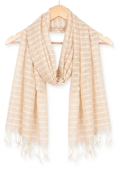 Handwoven Tussar Silk Stole - Beige