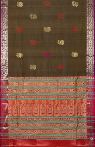 Handwoven Bishnupuri Silk Saree - Multi Colour